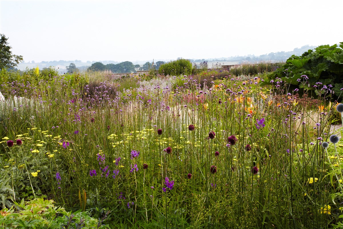 Summer in the Gravel Garden