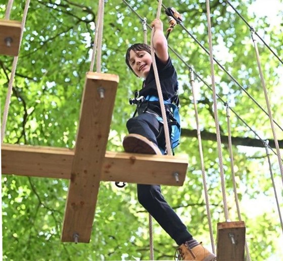 Go Ape