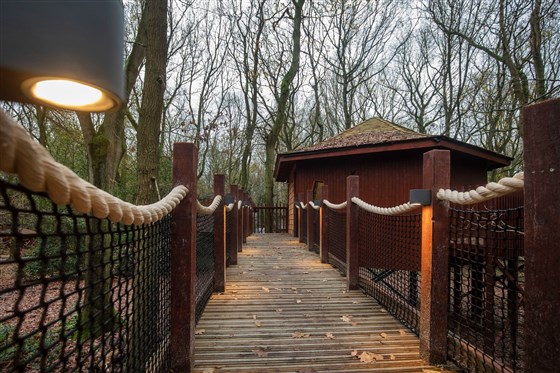 Forest Holidays, Blackwood Forest, Hampshire