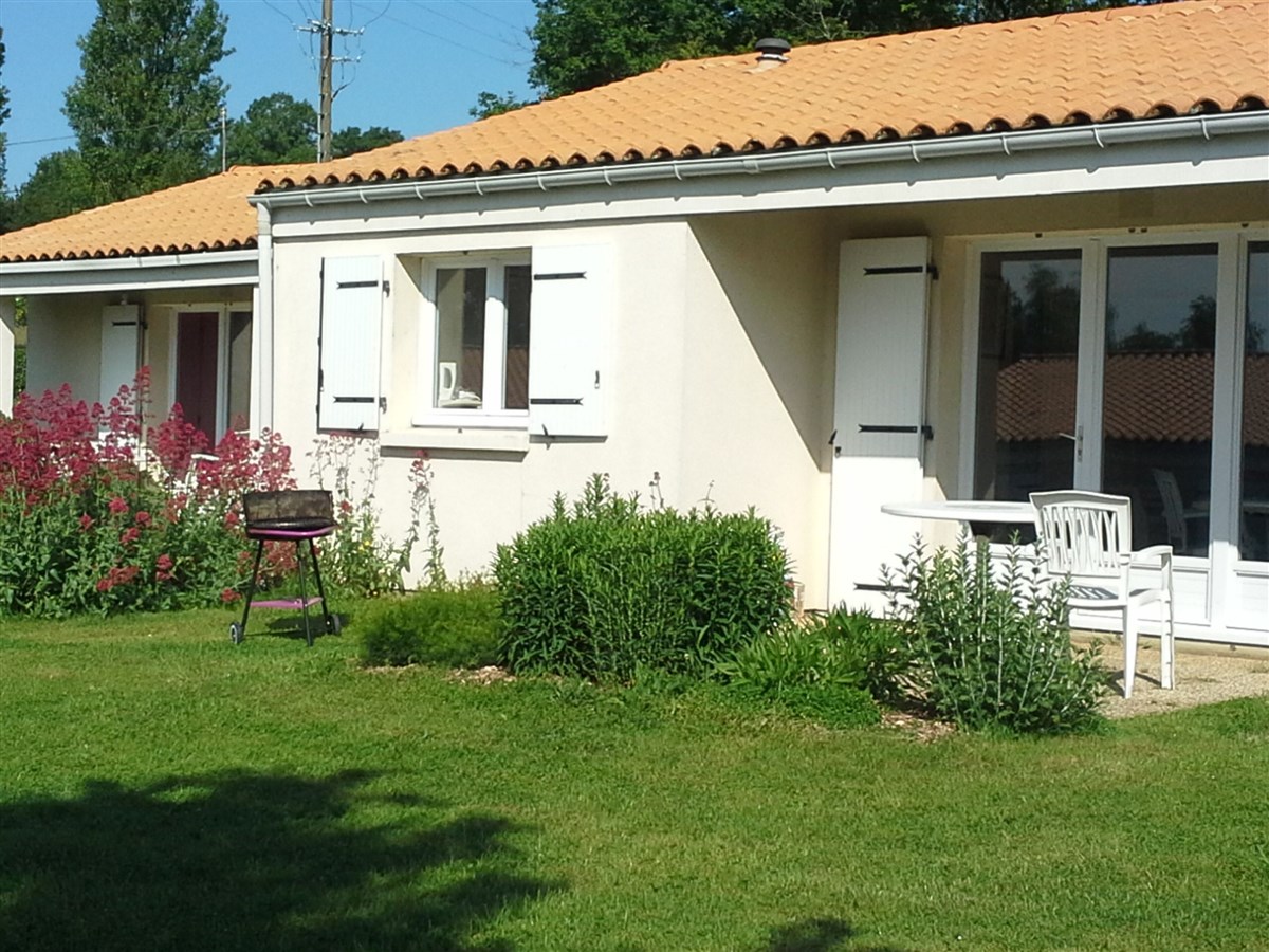 Maison 纯色