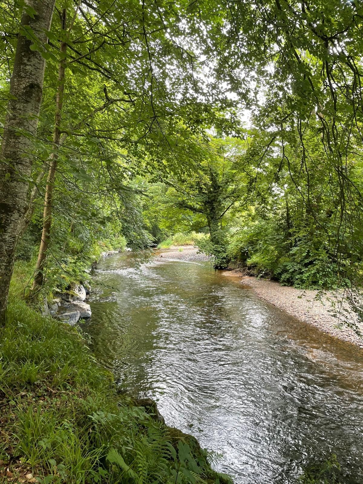 Shaded Riverside Pathway