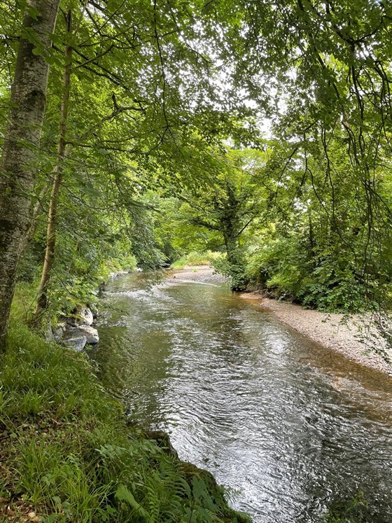 Shaded Riverside Pathway