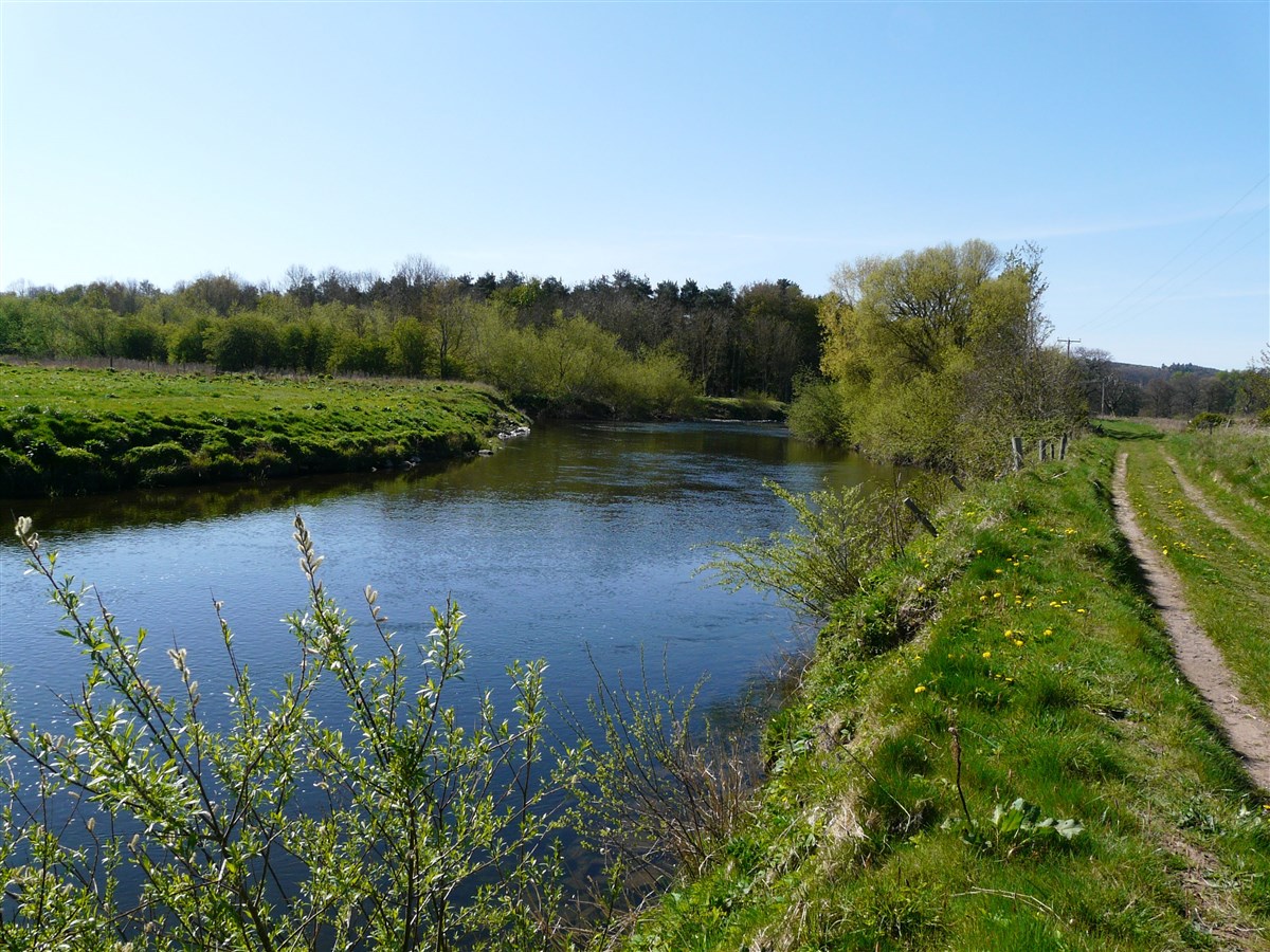 Monteviot Beat