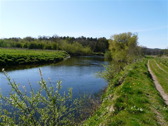 Monteviot Beat