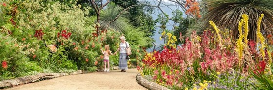 The Eden Project
