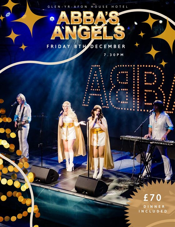 Abba tribute Night