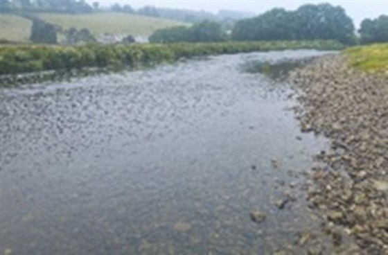 Blackwater Valley Fishery