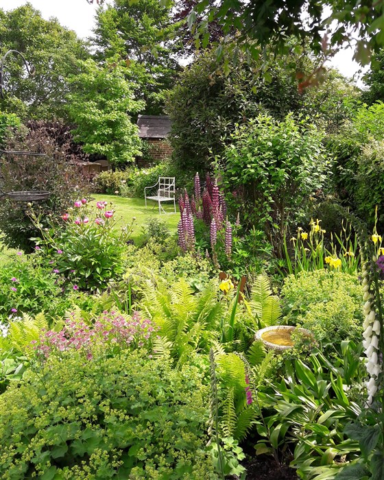 Garden