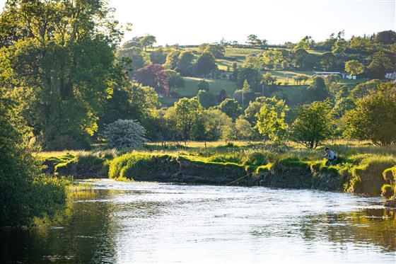 Upper Teifi