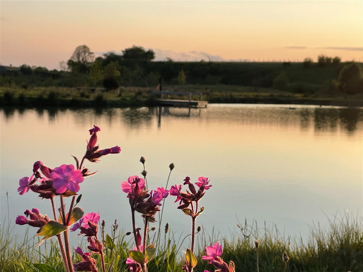 Lake at dusk