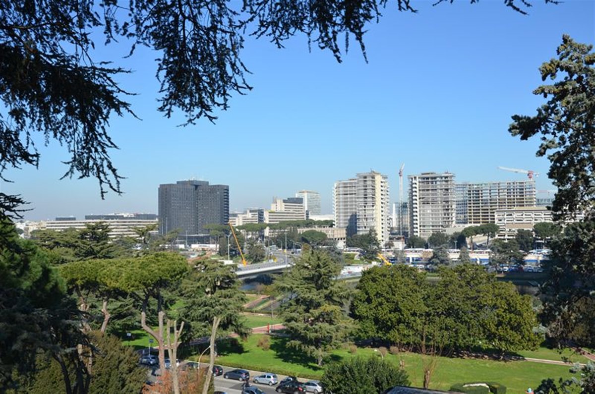 Panorama 