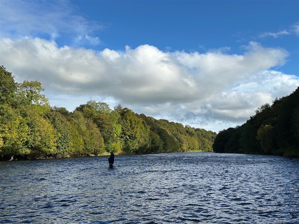 Looking Upstream from Carnaquin on the River Mourne, Beat 1 (The Broads, Toby and Nelson)