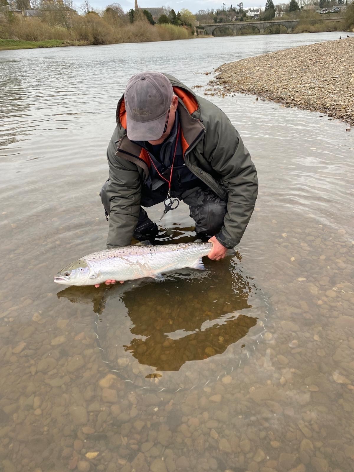 Salmon Spring 2026