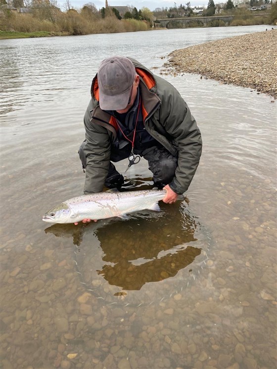 Salmon Spring 2026