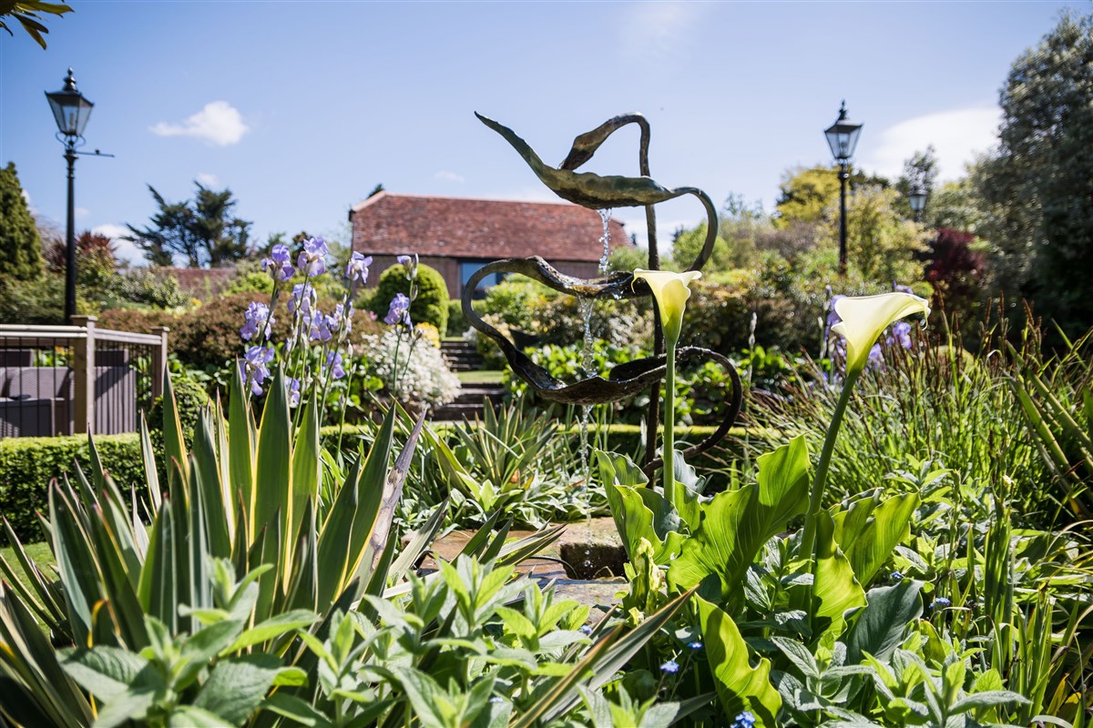 Montagu Arms Gardens