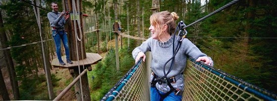 Go Ape