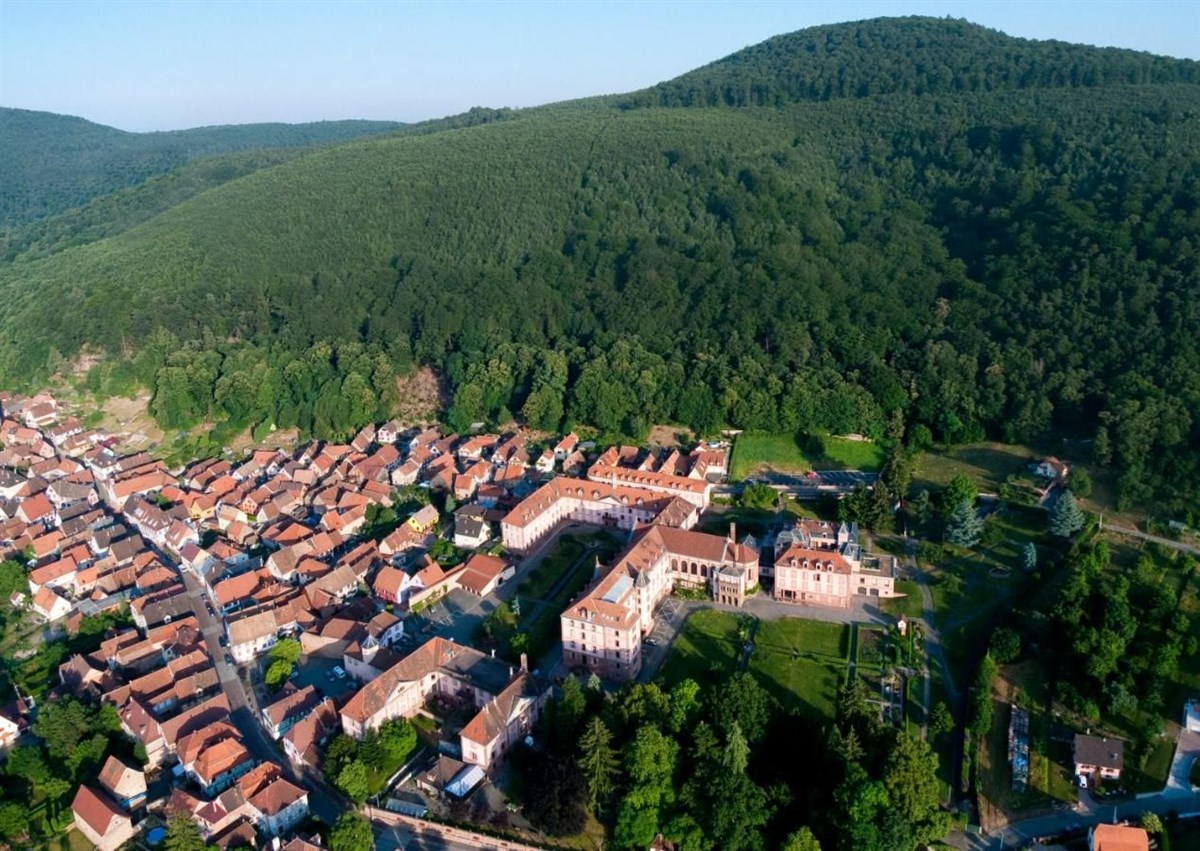 Vue