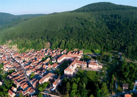Vue