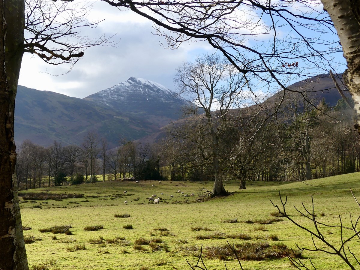 Causey Pike