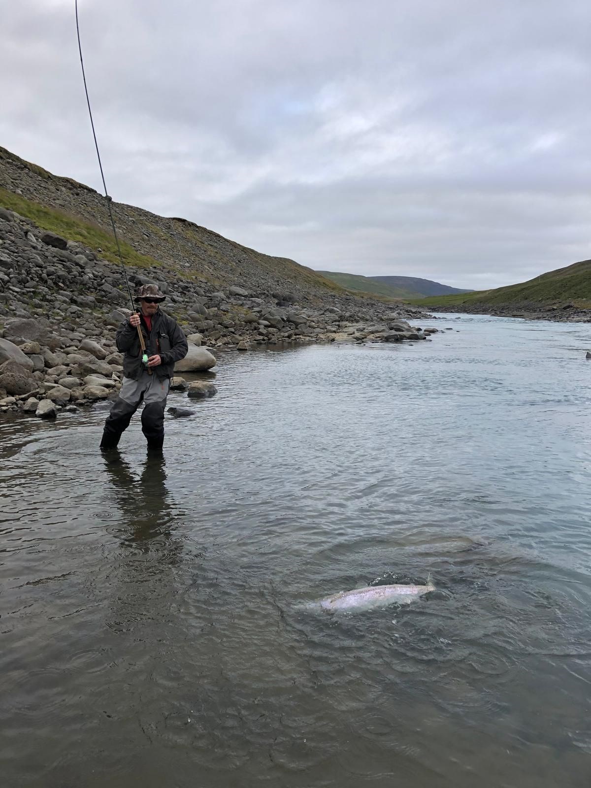 Landing a Salmon