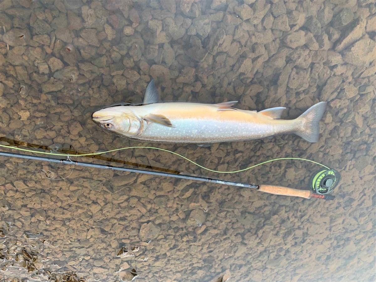 Sog River Thrastalundur 10