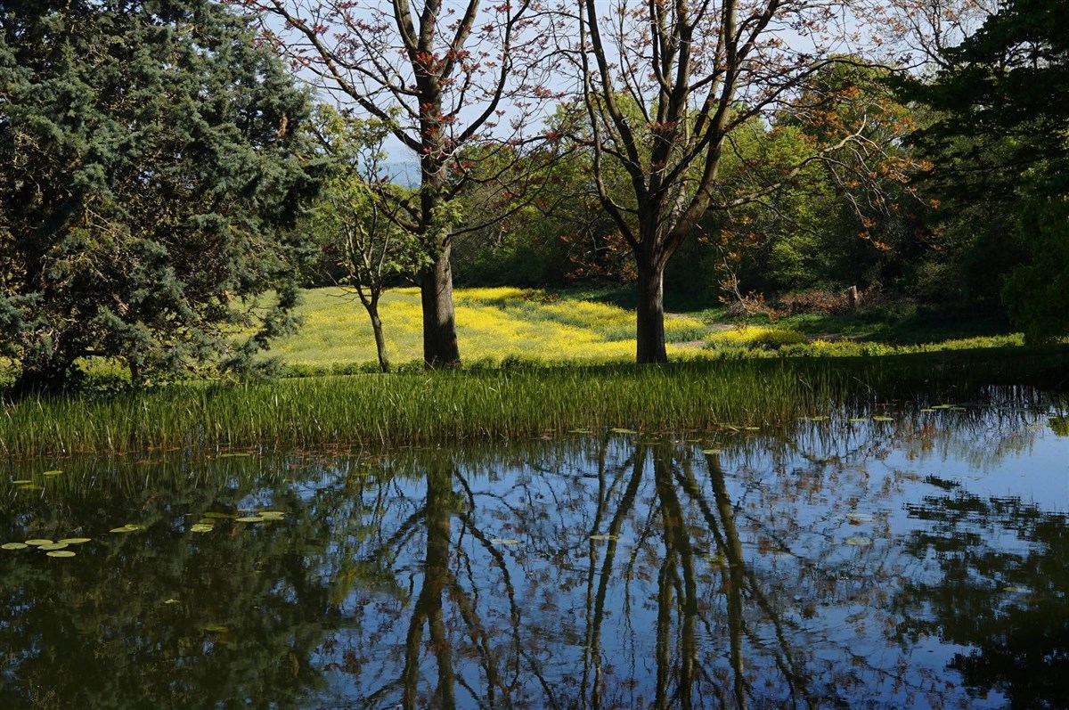 Little Malvern Court & Gardens