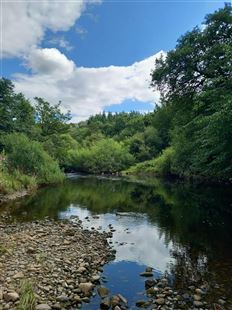 Fishpal FishPal - buy fishing permits for salmon, trout and grayling