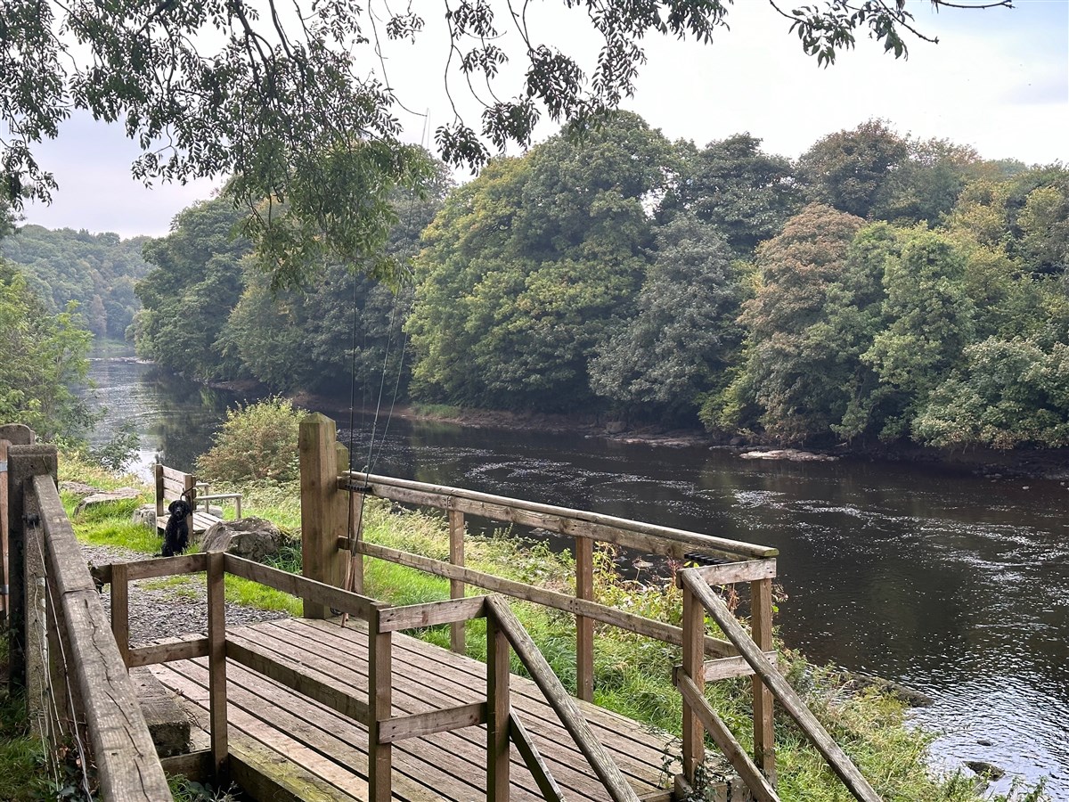 Overlooking The Snaa, River Mourne from the Fishing Hut at the Abercorn Estate Fishery