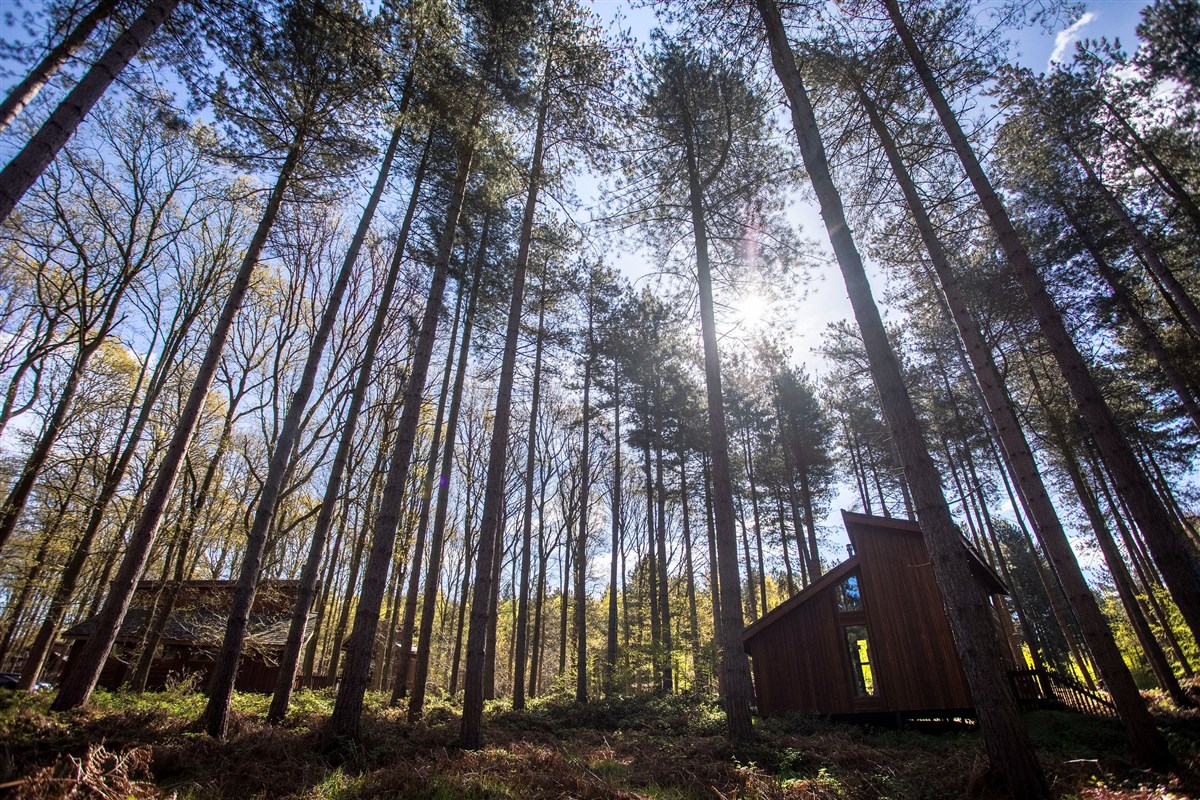 Forest Holidays, Sherwood Forest, Nottinghamshire