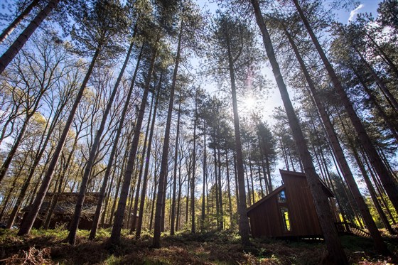 Forest Holidays, Sherwood Forest, Nottinghamshire