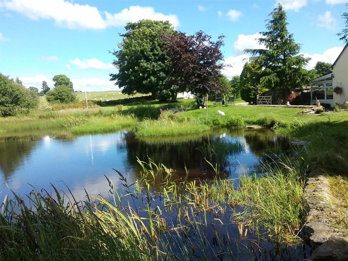 Casa de hóspedes Llwyn Onn