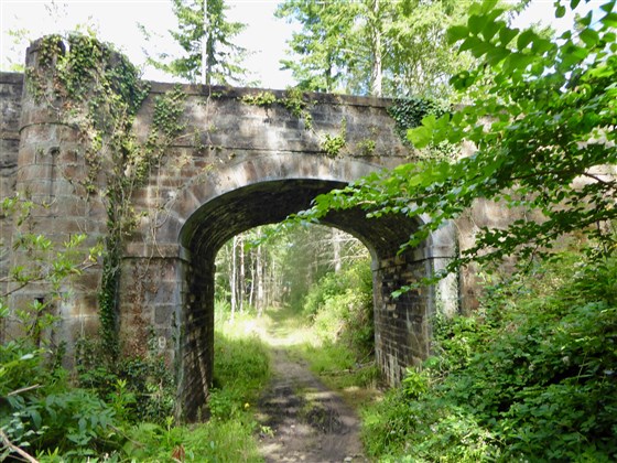 Take a walk along The Dava Way and check out some of the bridges - all walking distance from Blervie.
