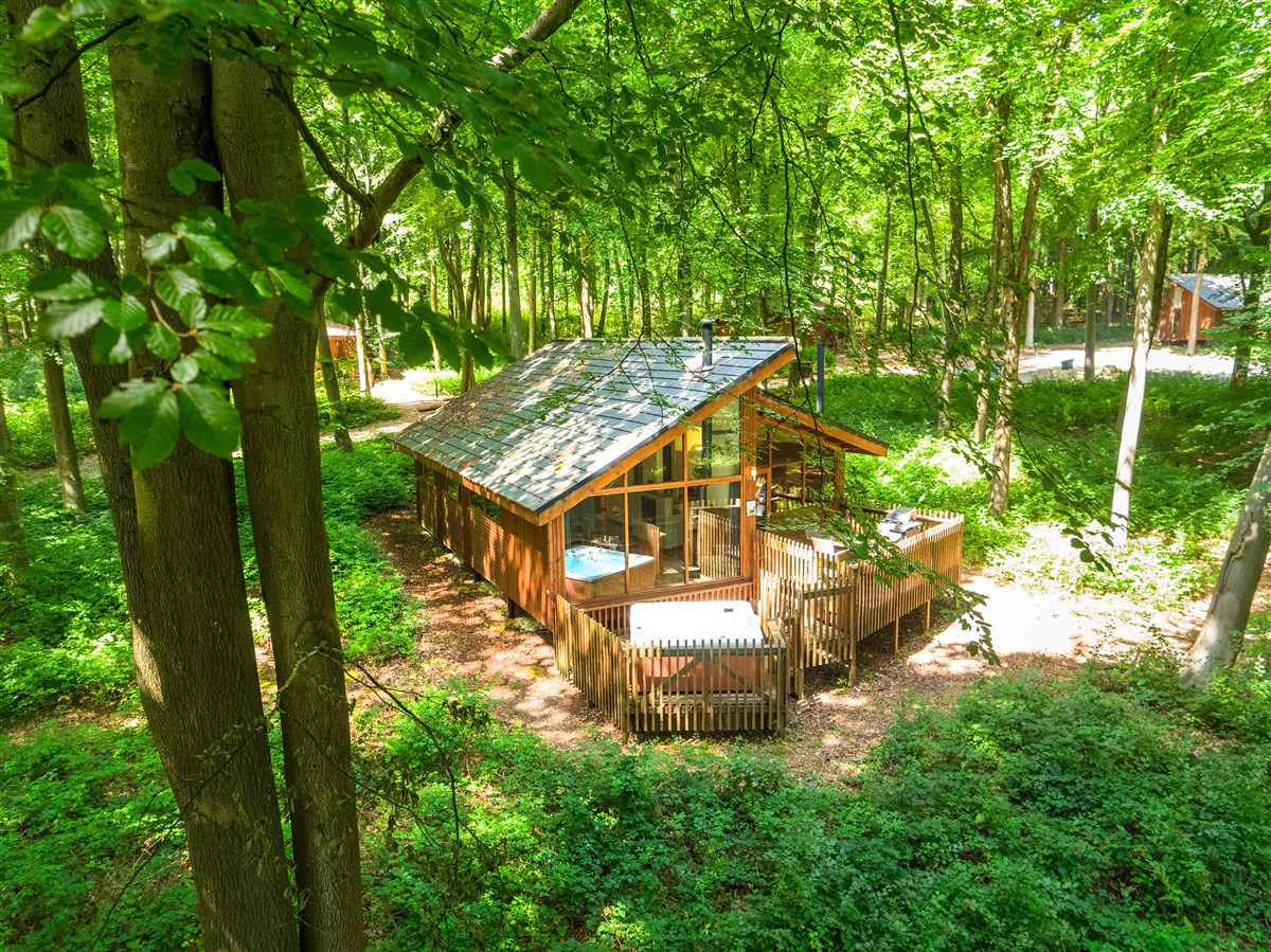 Forest Holidays, Blackwood Forest, Hampshire