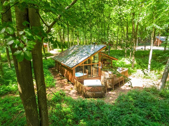 Forest Holidays, Blackwood Forest, Hampshire