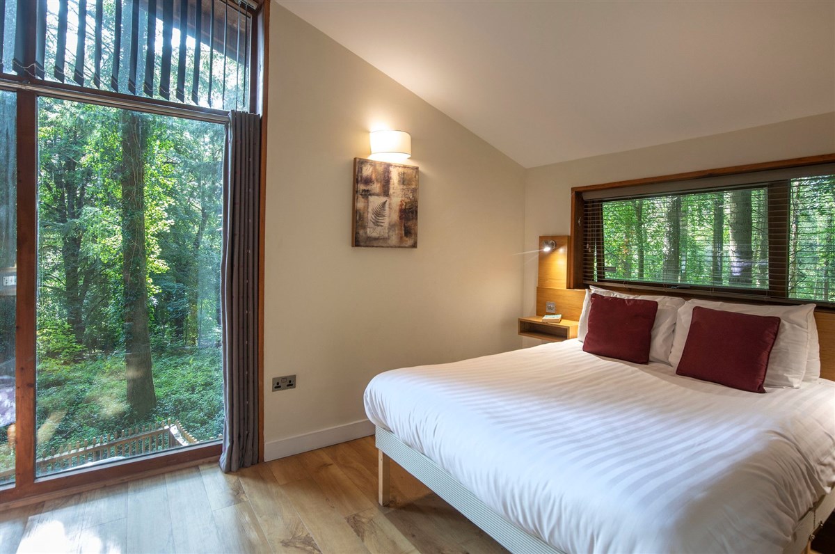 Treehouse Breaks at Forest Holidays, Keldy