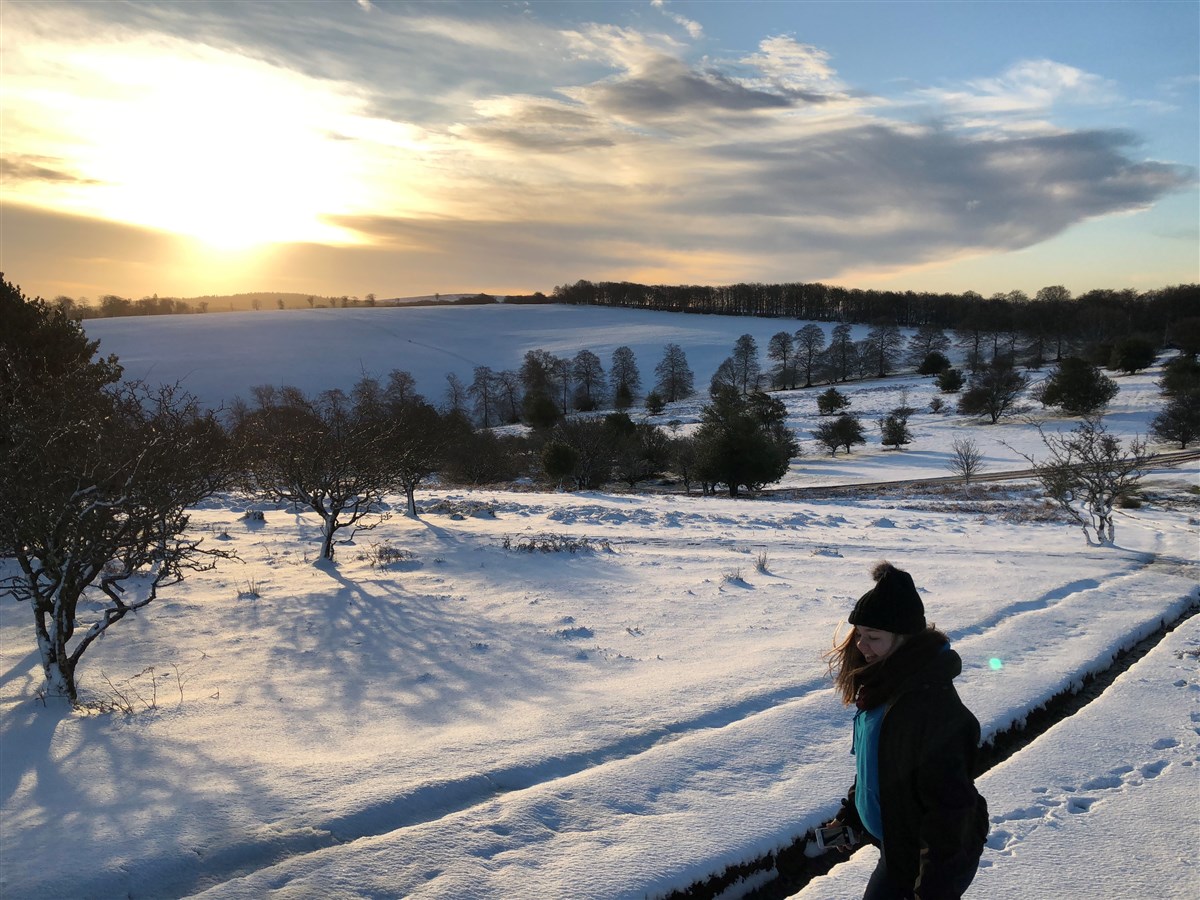 Collines Quantock voisines (AOUNB) en hiver 