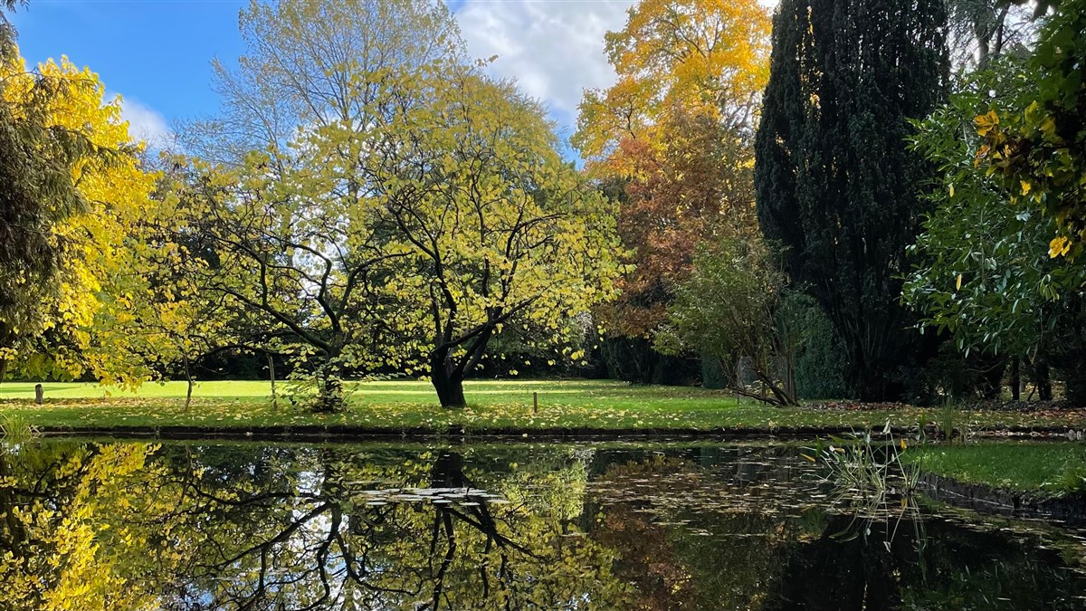 Garden features, large pond