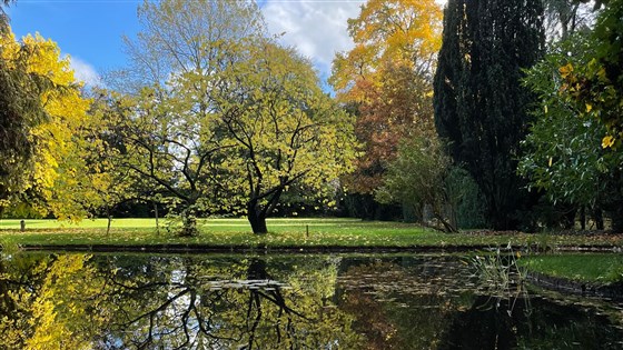 Garden features, large pond