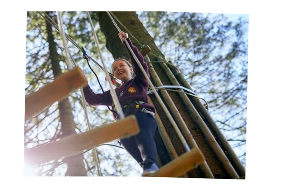 Go Ape