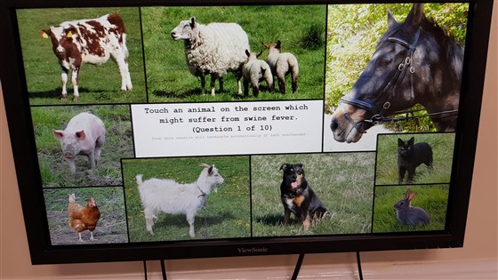 Interactive computer games