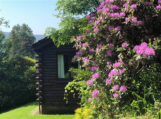 Ferguson Log Cabin
