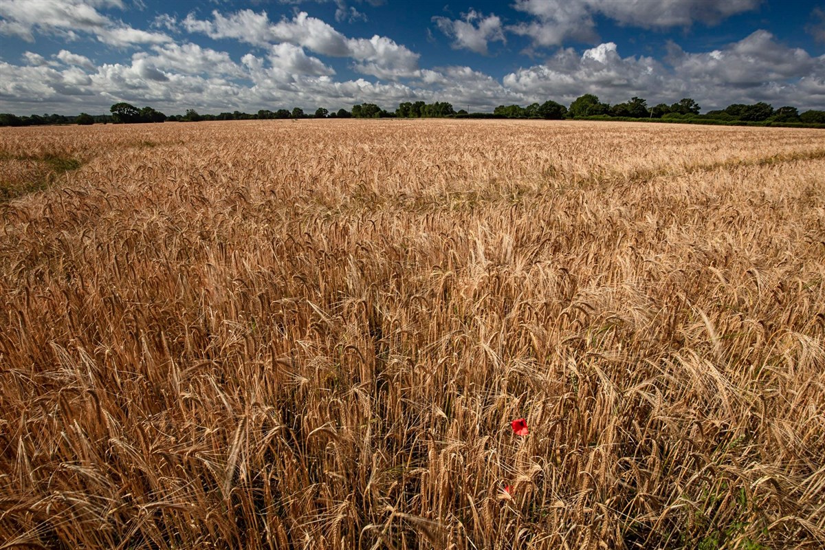 Rural Location