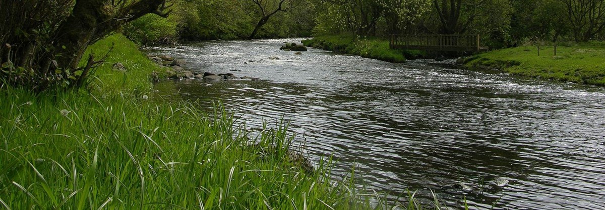 Doon 3