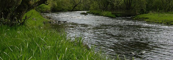 Doon 3
