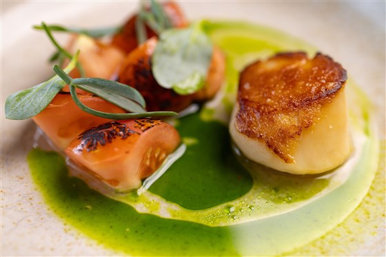 Sample Dish 