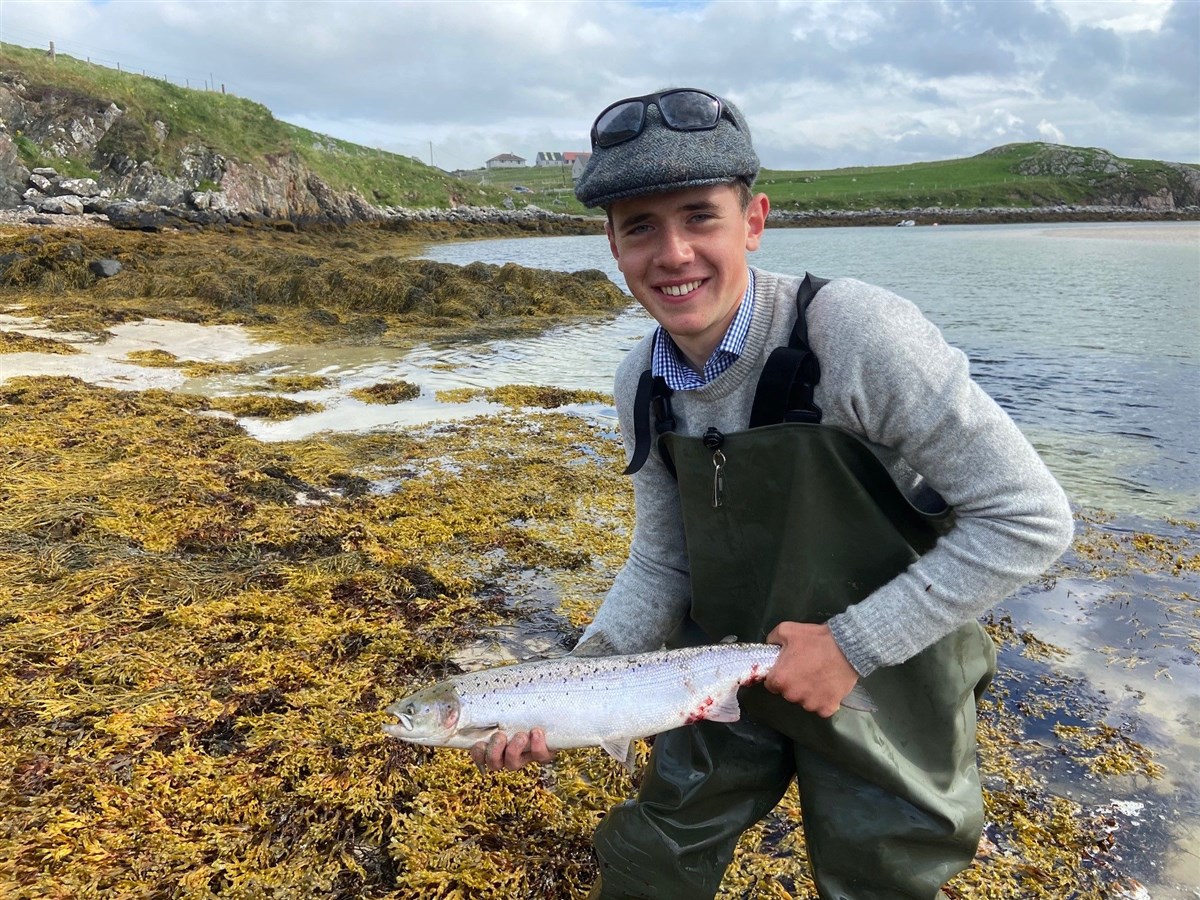 Grilse from the Bruton Stream