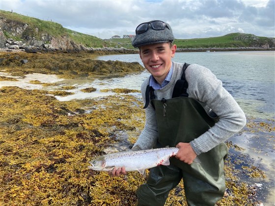 Grilse from the Bruton Stream