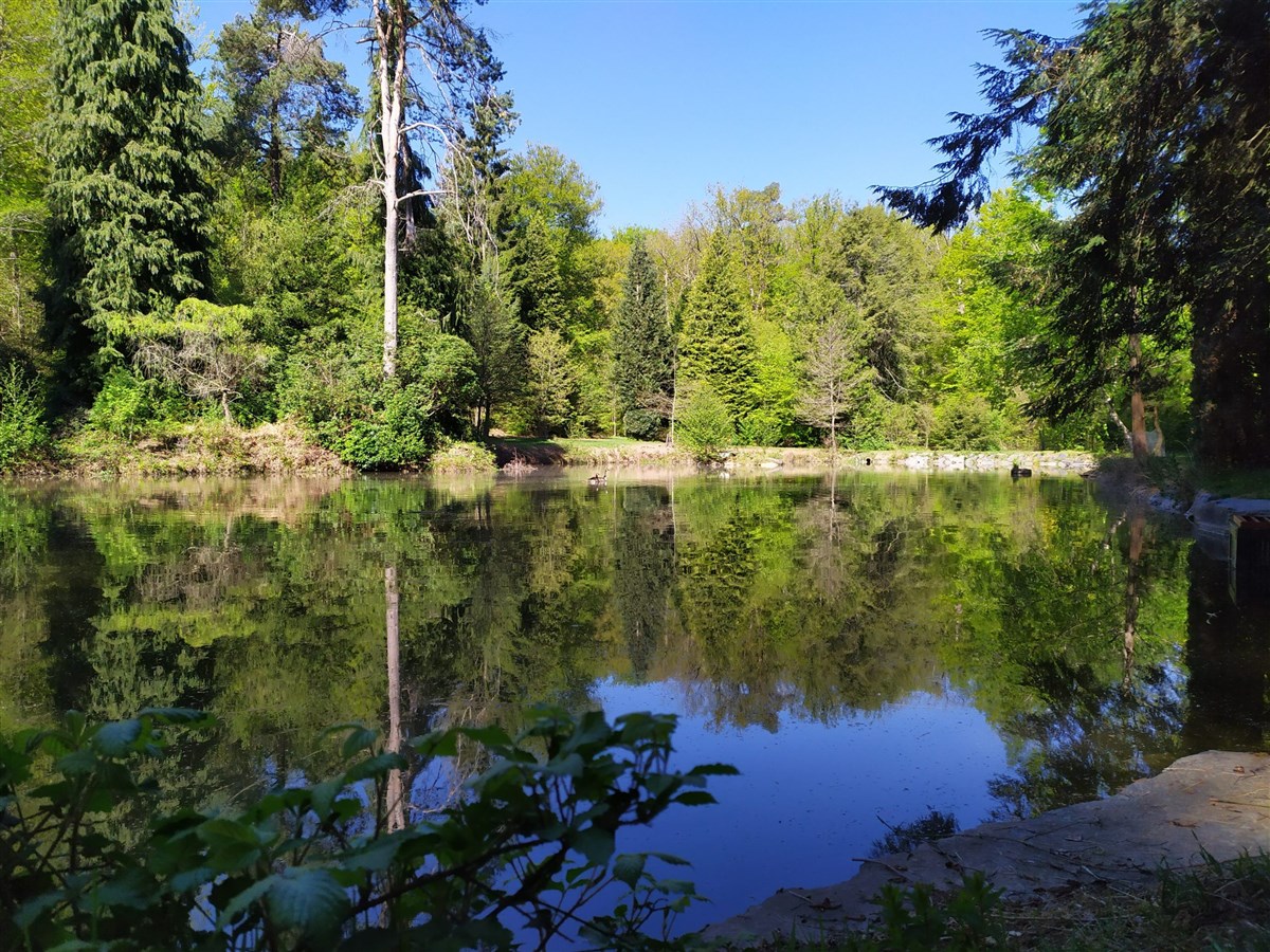 Domaine de Farnières