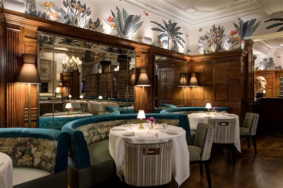 Hôtel Brown