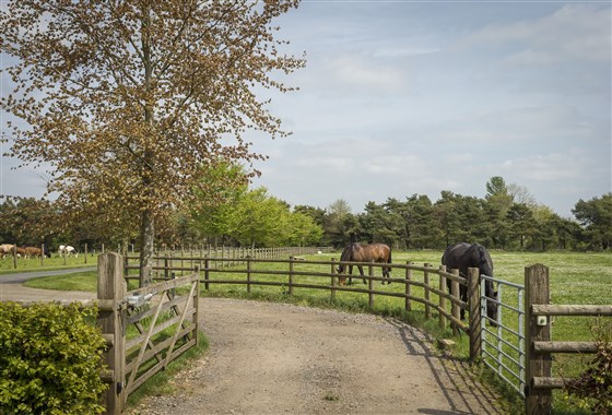 Alysas Cottage, Chipping Norton